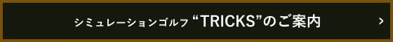 シュミレーションゴルフ