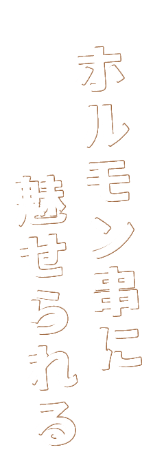 ホルモン串に魅せられる