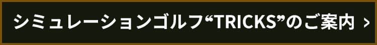 シュミレーションゴルフ