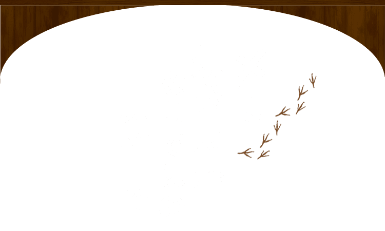 〆は