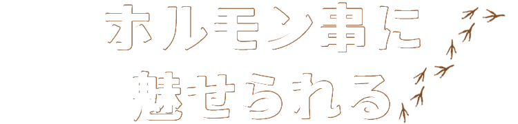 ホルモン串に魅せられる